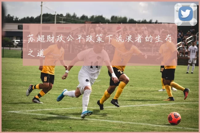 苏超财政公平政策下流浪者的生存之道