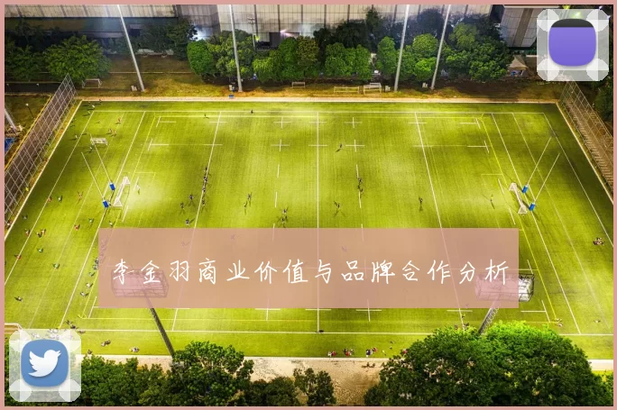 李金羽商业价值与品牌合作分析