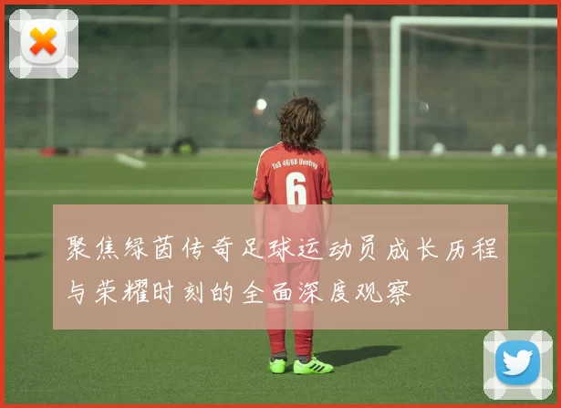 聚焦绿茵传奇足球运动员成长历程与荣耀时刻的全面深度观察