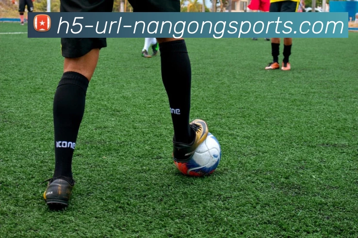 南宫体育APP 封面图